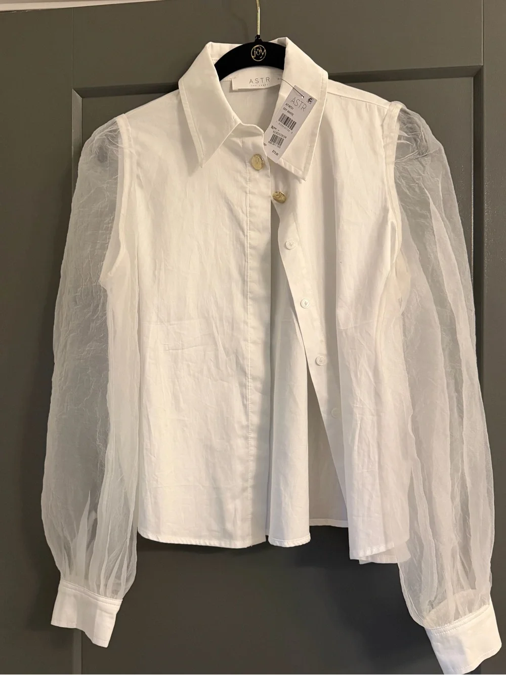 ✨ NEW WITH TAGS | ASTR the Label Organza Puff Sleeve Blouse